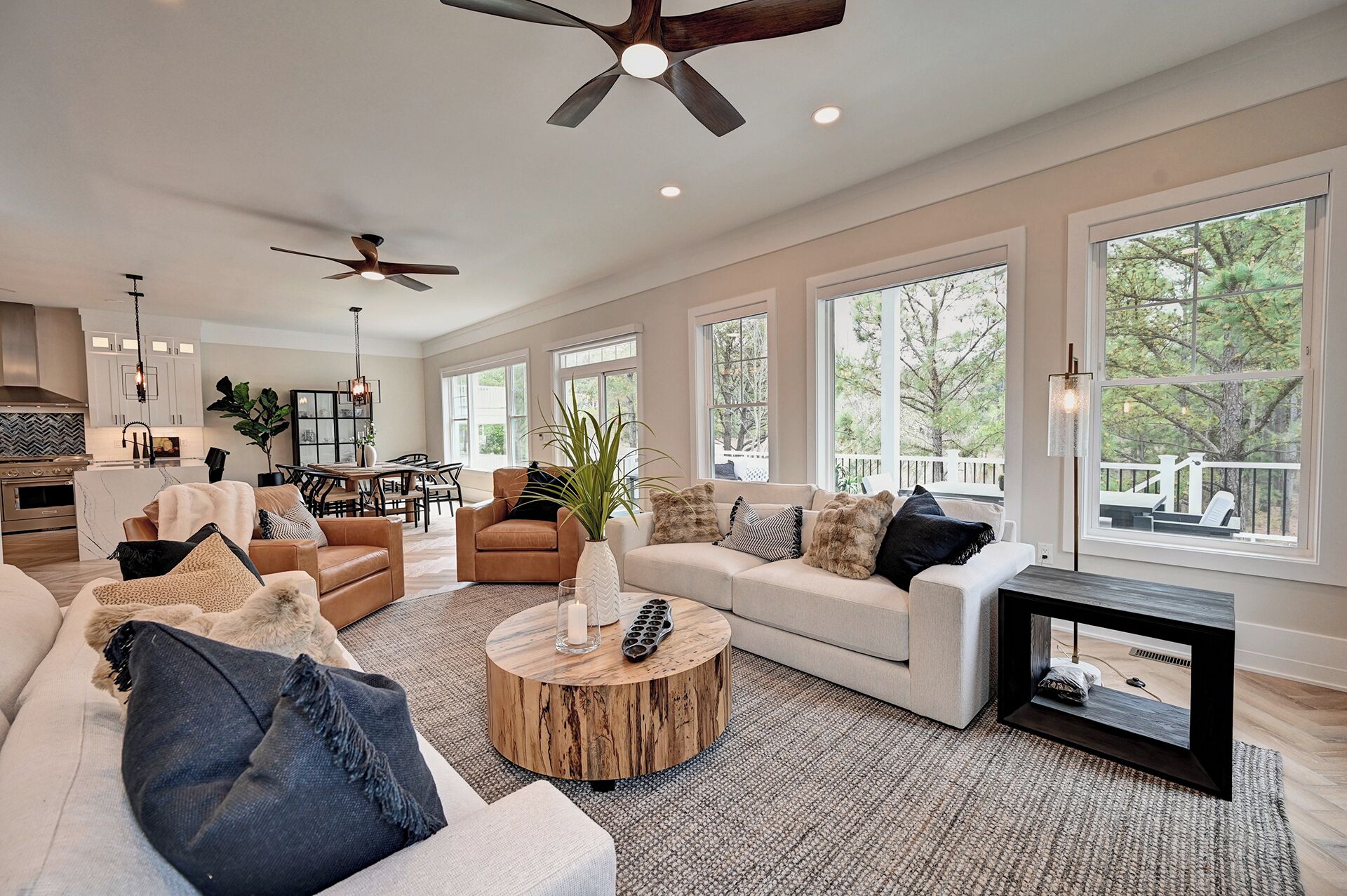 TV, fireplace, ping pong