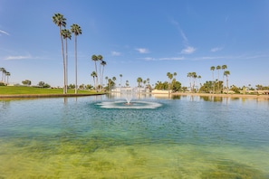 A clear view of a water fountain surrounded by palm trees in a park setting. - Pool Access + Private Backyard: Sunny Mesa Home (Mesa)