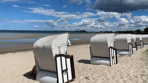 Beach chairs with white covers and wooden frames on a sandy beach.