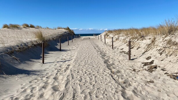 Un sendero arenoso en la playa flanqueado por dunas, que conduce al mar.
