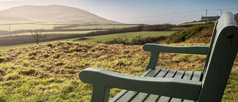 المنطقة المحيطة بالمنشأة