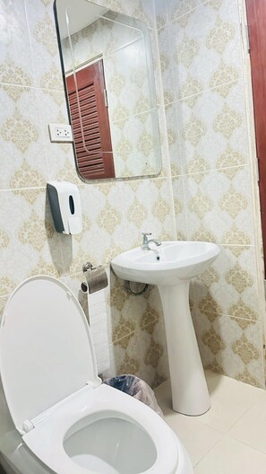 Une salle de bain avec des toilettes, un lavabo et un miroir.
