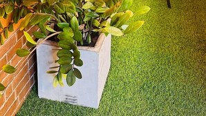 Un petit espace extérieur aménagé avec une table et des chaises, entouré de plantes en pot et d’un mur de briques.