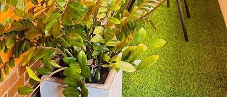 Área de sala de estar