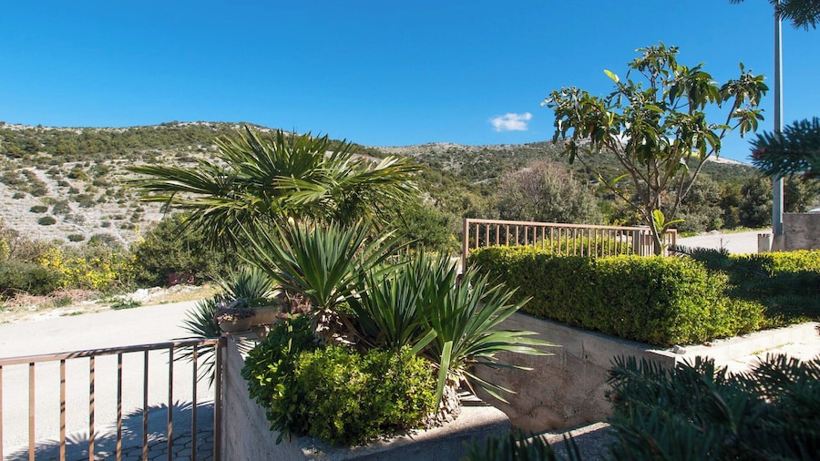 Apartment in Dalmatia With Garden View