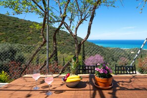 A table with two glasses of pink drink, a bowl of fruit, and a potted plant. - Villa Hercules in Corfu (Corfu)