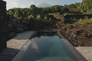 1 habitación, escritorio y espacio para trabajar con laptop