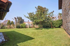 Une cour bien entretenue, avec une pelouse soignée, un mur en pierre et un arbre.