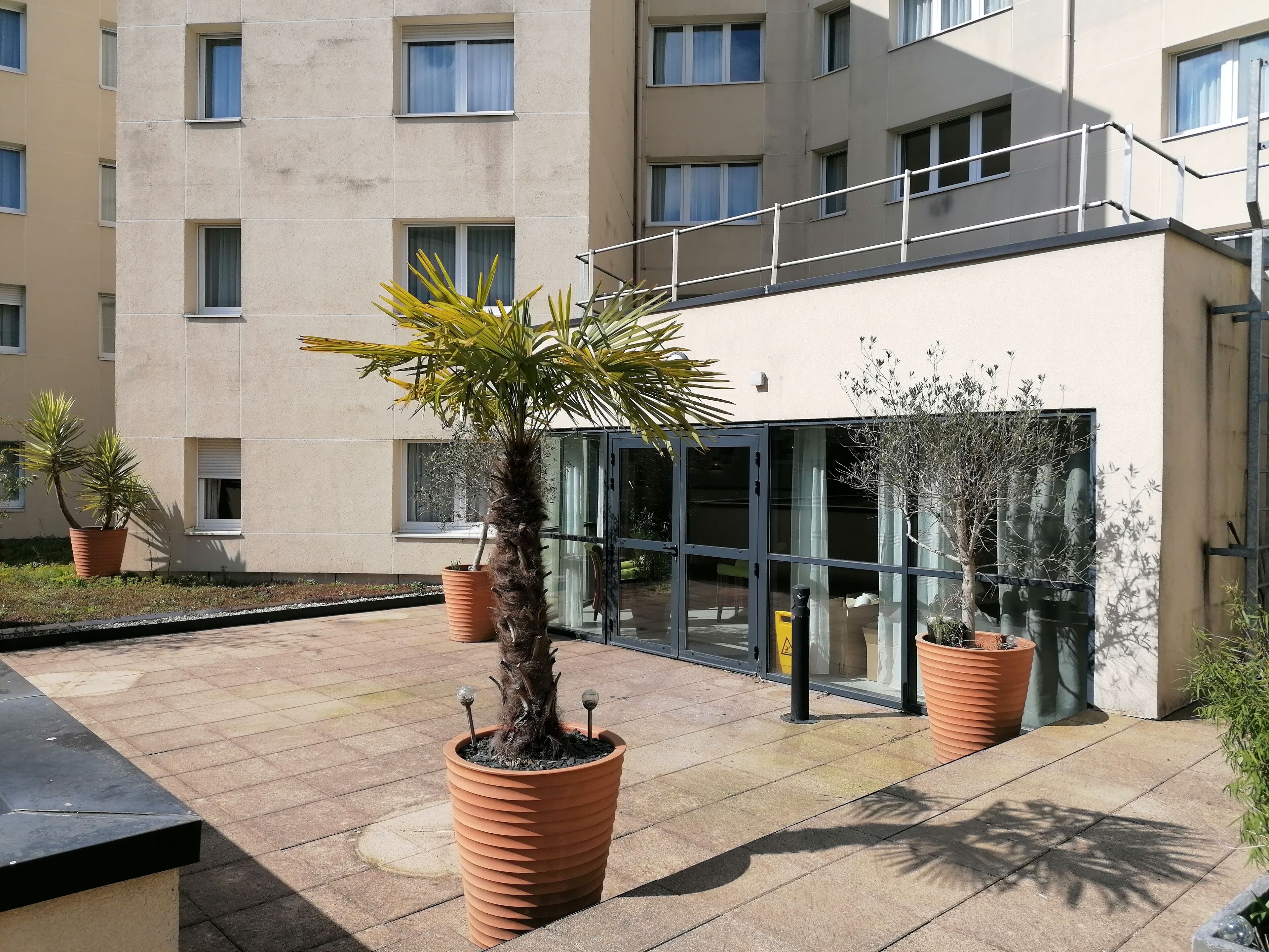 A modern building with multiple windows and a glass entrance. There are several potted plants in the foreground.