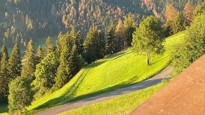 Un paisaje montañoso con una carretera y una estructura de madera en primer plano.