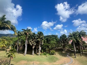 Property grounds - La Mosa nova (Sainte-Luce)