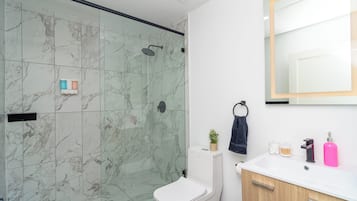 Shower, hair dryer, towels, soap