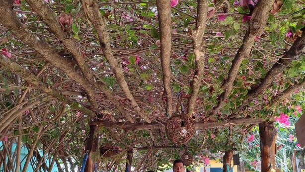 Sınıflandırılmamış resim, 41 üzerinden 1, düğme