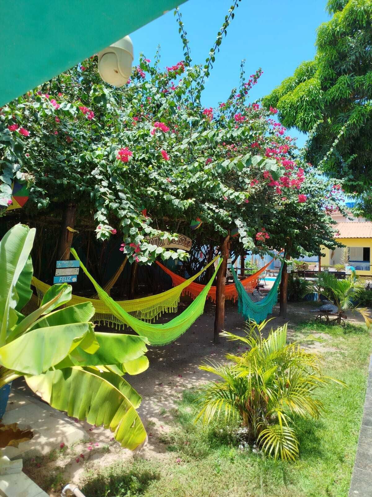 Un espace jardin agrémenté d’un hamac, d’une pancarte sur laquelle on peut lire « Feliz » et de diverses plantes.