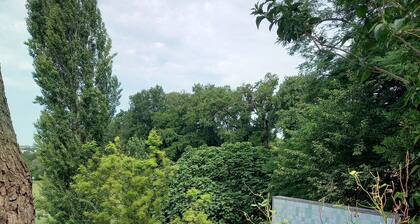 Clos Du Zard - Piscine privée