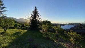 A grassy landscape with a prominent evergreen tree, a house with solar panels, and a distant mountain range.