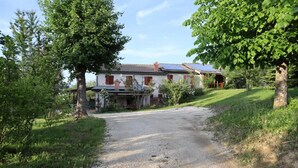 A rustic house with a gravel driveway, surrounded by lush greenery and trees.