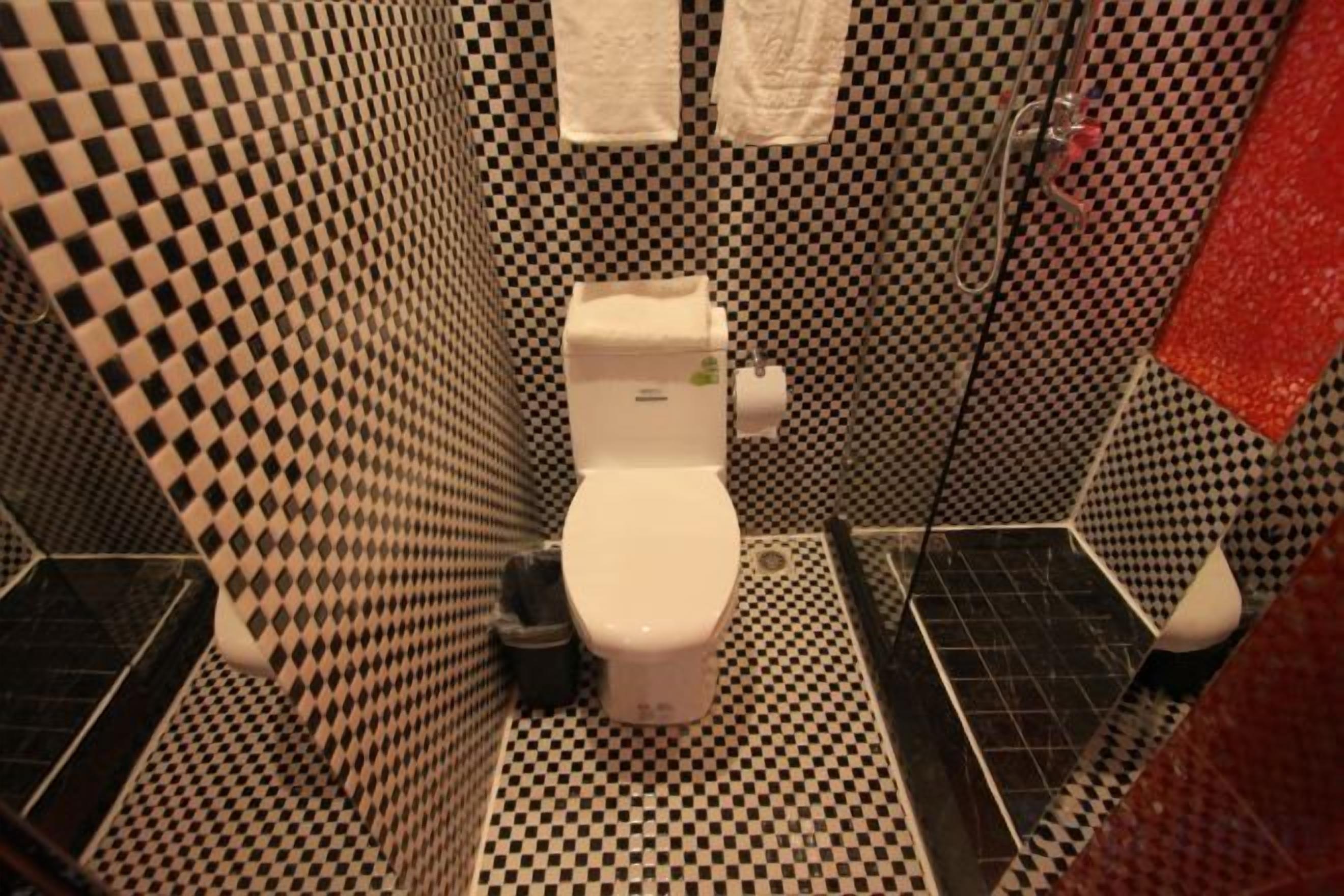 Un baño con piso de estampado de cuadros, un inodoro y una zona de ducha.