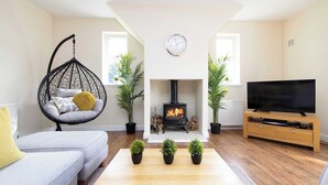 A living room with a sofa, hanging chair, TV, fireplace, and small potted plants. - Greenknowes Entire Private Estate (Blairadam)