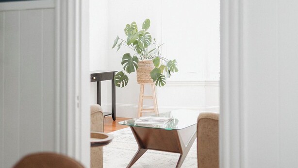 A room with a white table, two chairs, a plant on a stool, and a white wall with a blue trim. - 2-bedroom apartment in Portland, ME with WiFi, AC. Enjoy your stay! (Portland)