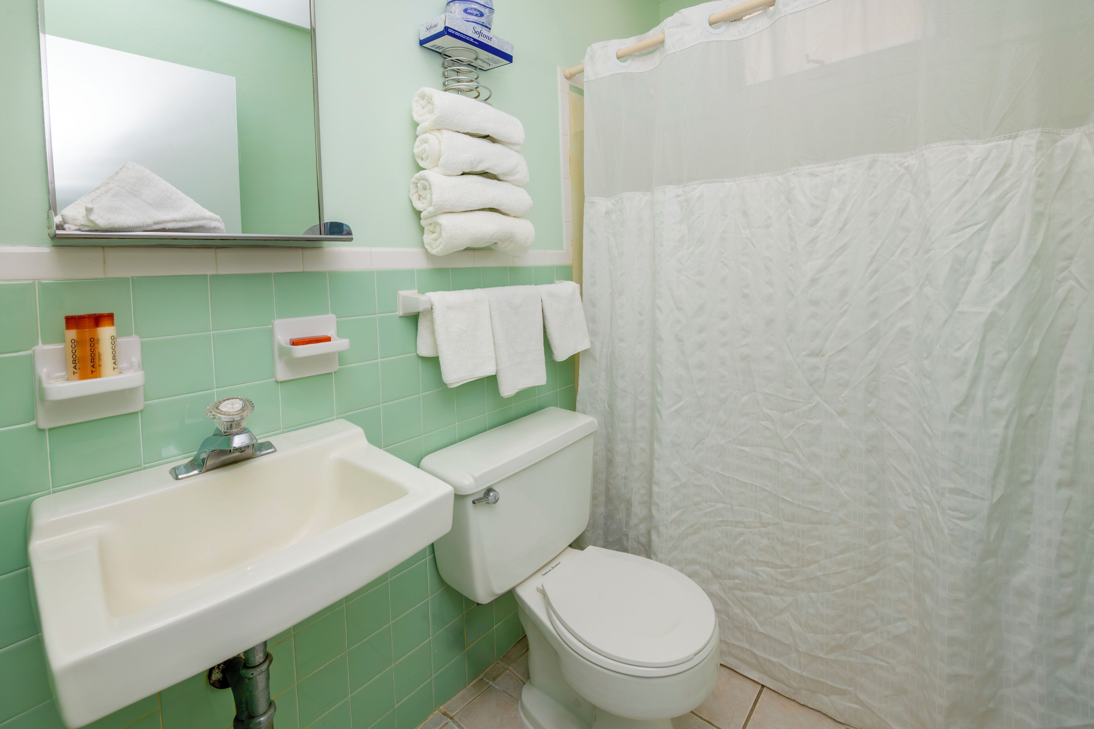 Une salle de bain avec un lavabo, des toilettes et un rideau de douche.