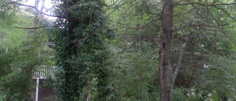 Àrea exterior de l'allotjament