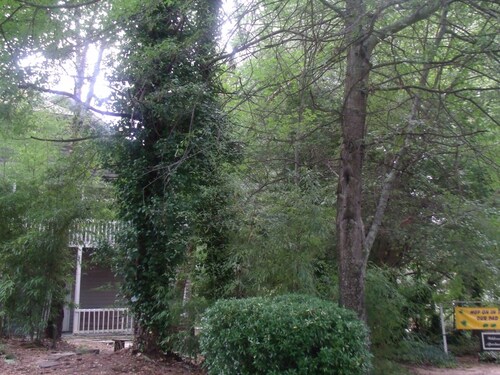 Charming 1-bedroom apartment in superb St. Georges with WiFi, AC