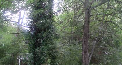 Charming 1-bedroom apartment in superb St. Georges with WiFi, AC