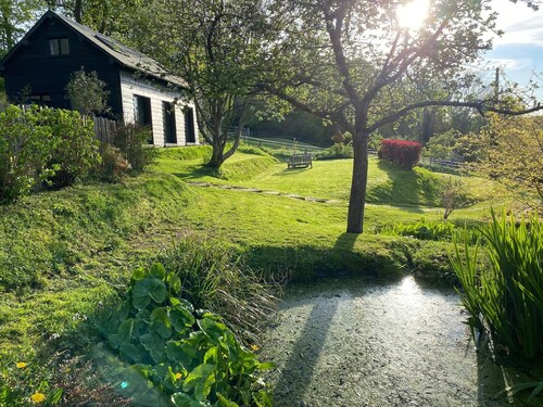 Scandinavian-style house in the middle of greenery