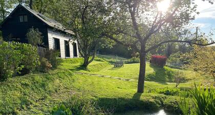 Scandinavian-style house in the middle of greenery