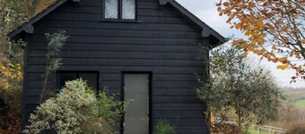 Scandinavian-style house in the middle of greenery