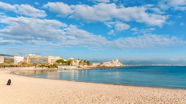 A beach with a clear sky, a sandy shore, and buildings in the background. - Comfortable apartment in the heart of Antibes (Antibes)