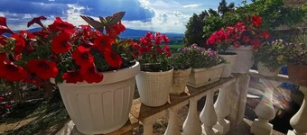Athena vacation home