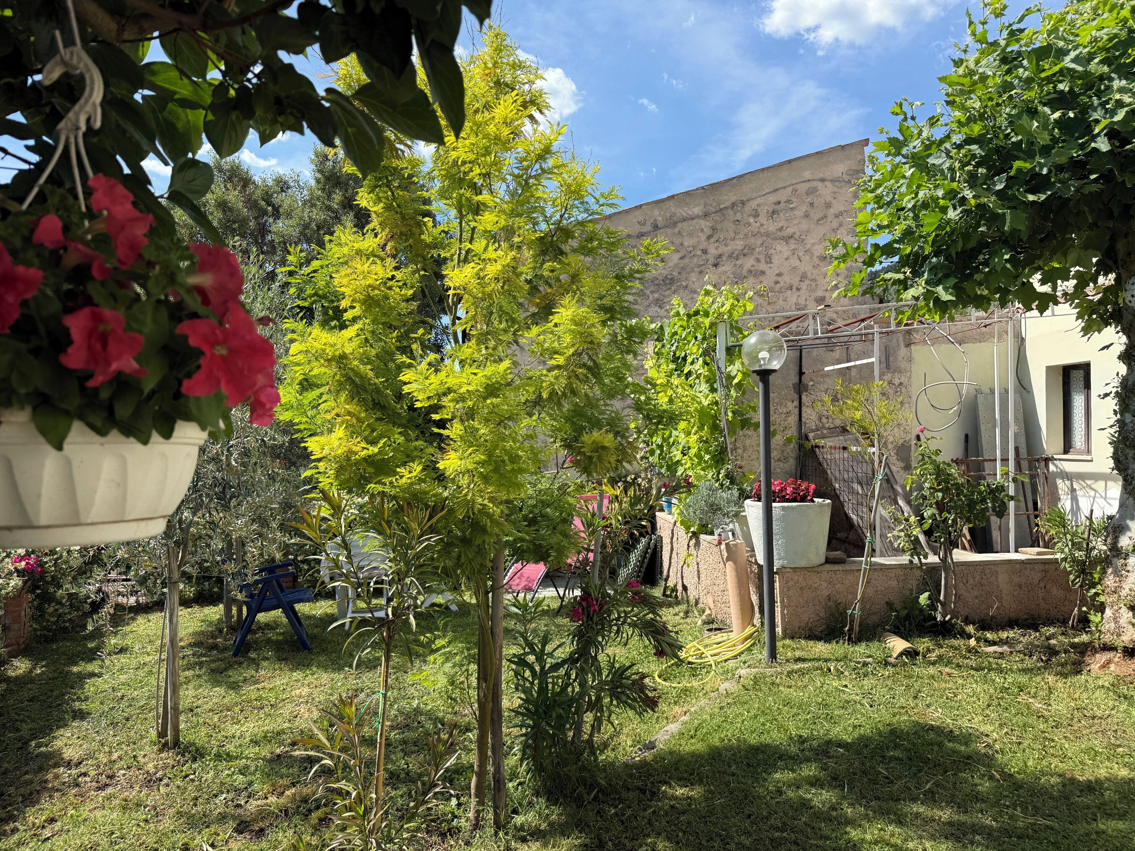Un jardin avec différentes sortes de plantes et un bâtiment en arrière-plan.