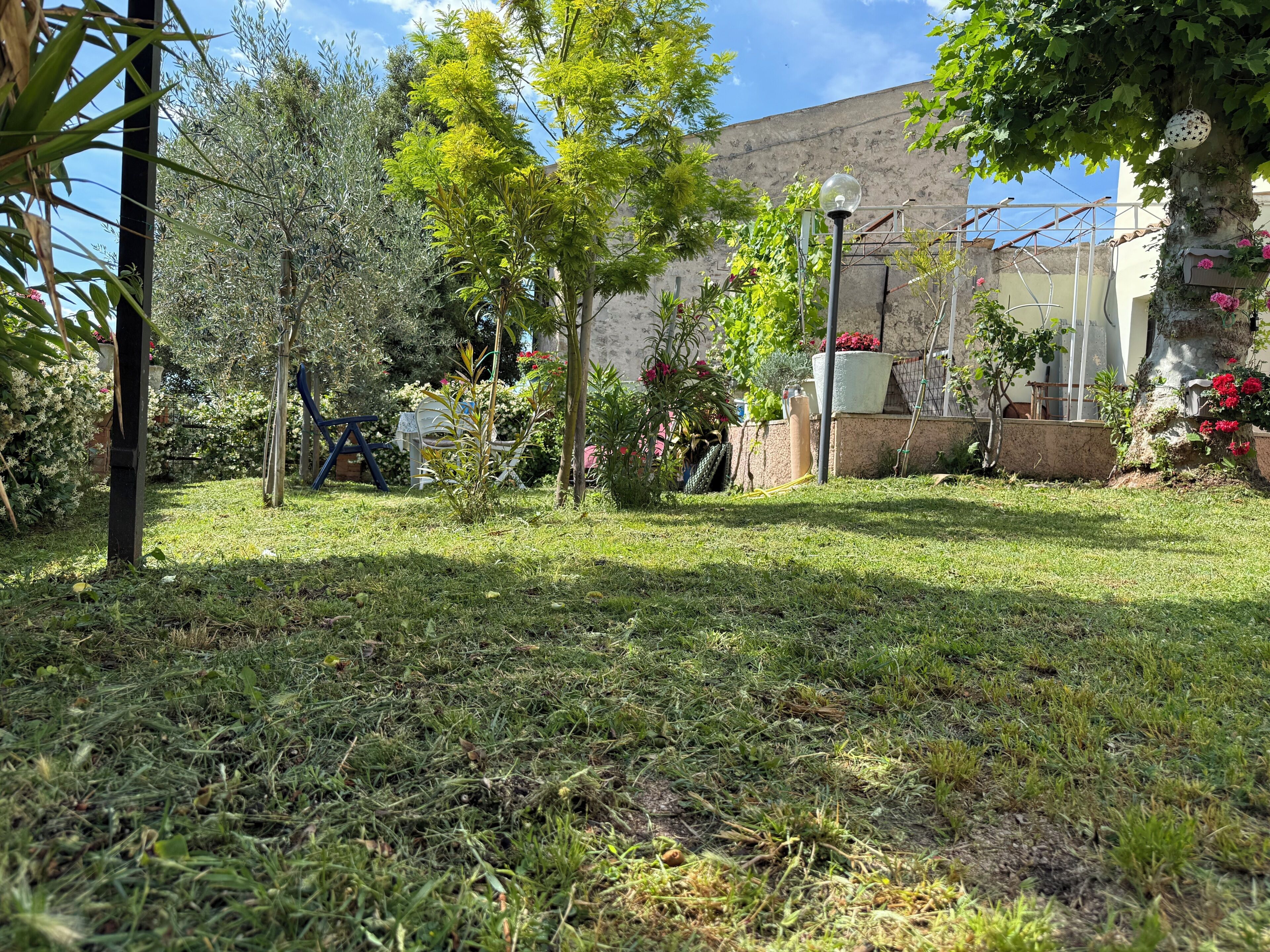 Un jardin avec différentes espèces de plantes et un bâtiment en arrière-plan.
