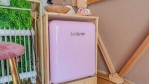 A pink refrigerator in a wooden cabinet, a radiator, a pink stool, and a green wall with plants.