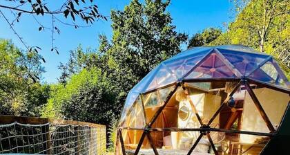 Fiore Dome with Jacuzzi 15 min from Disney