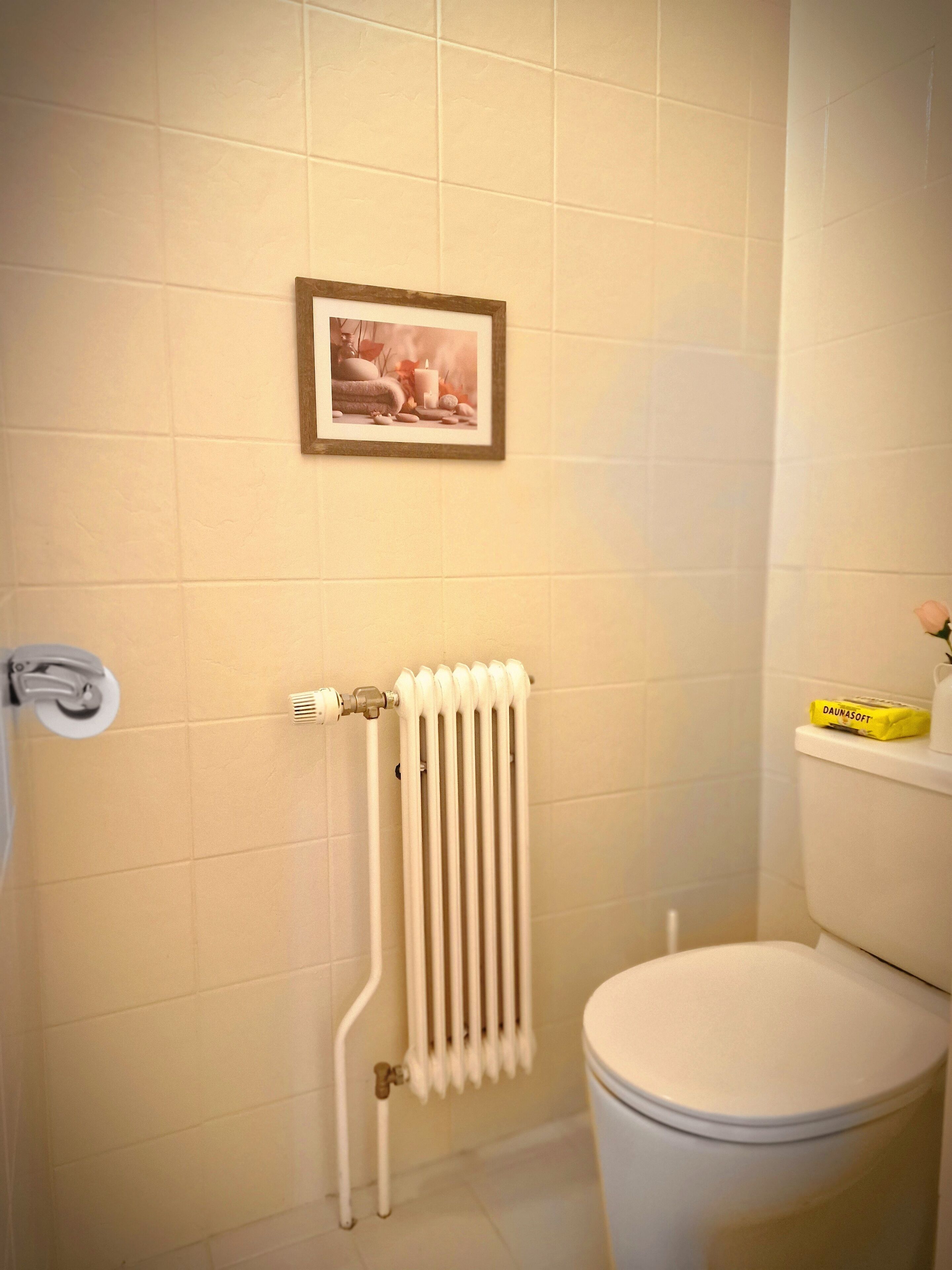 A bathroom with a white radiator, a toilet, and a framed picture on the wall.