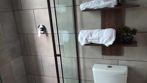 Ein modernes Badezimmer mit Duschkabine aus Glas, Toilette und einer kleinen Ablage mit einer Pflanze.