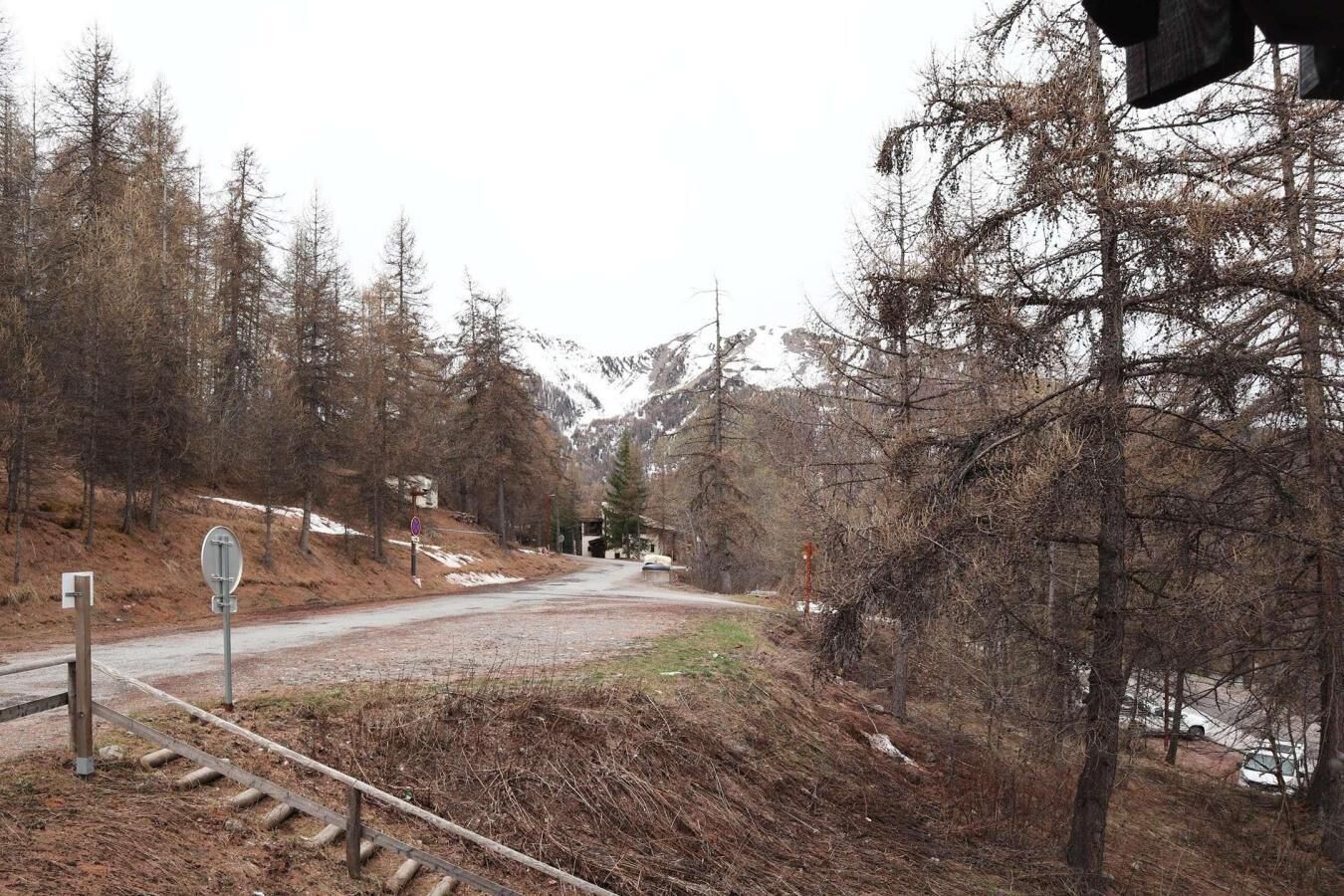 A railway crossing with a pedestrian signal and a road leading into a forested area.