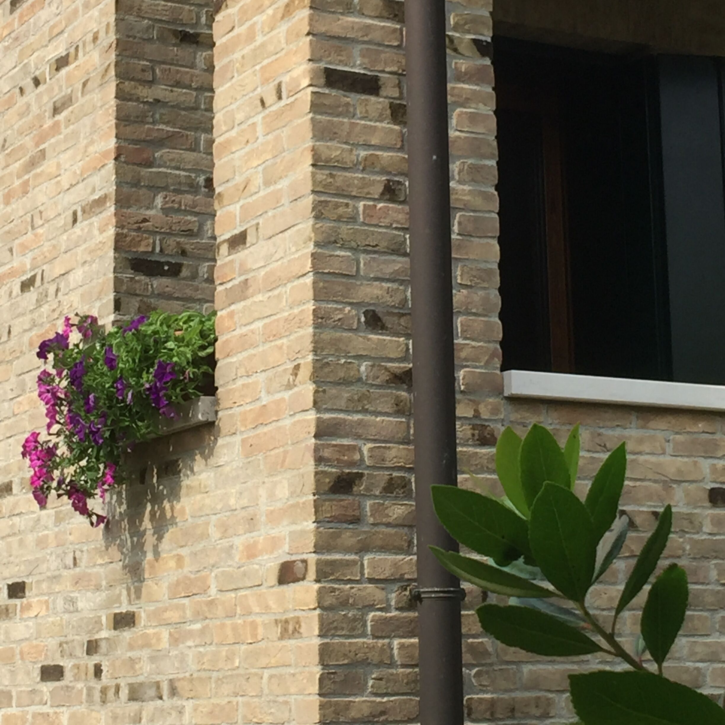 Un edificio de ladrillo con una ventana y una maceta con flores moradas.