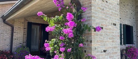 Façade de lâhĂ©bergement