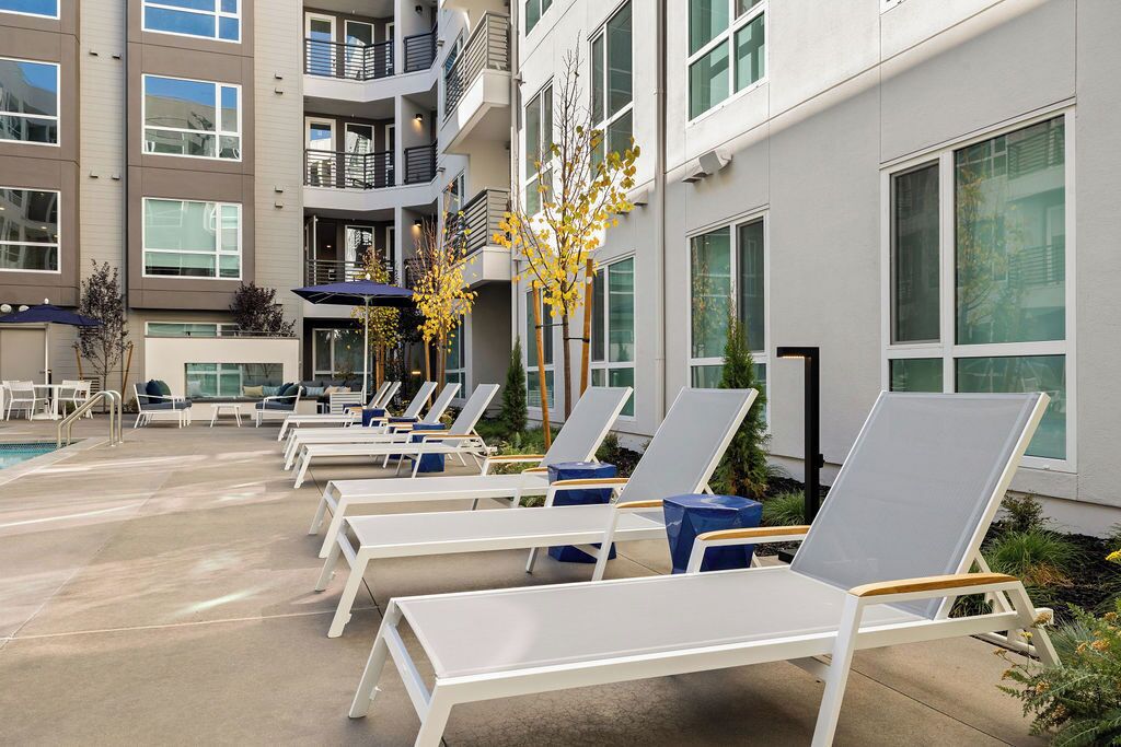 Outdoor pool, pool umbrellas, pool loungers