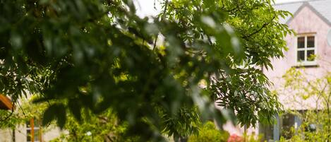 Classic Apartment, Garden View | Garden