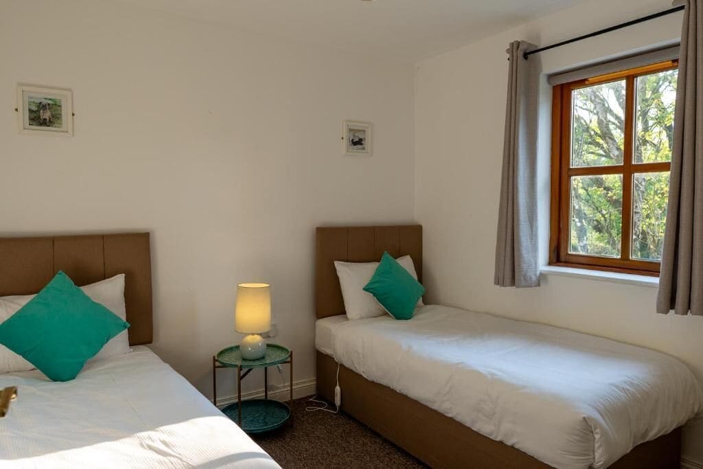 Un dormitorio con dos camas, una mesita de noche, una lámpara y una ventana con cortinas.
