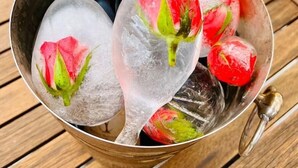 Un seau contenant une bouteille de champagne et des glaçons, le tout agrémenté de fleurs rouges.