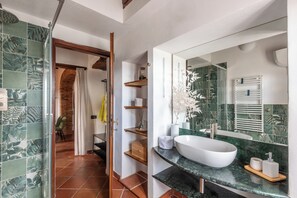 Shower, hair dryer, bidet, towels