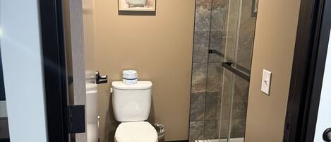 A compact bathroom with a toilet, a shower, and a glass-enclosed shower stall.