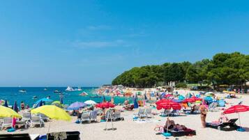 Apartment | View from property