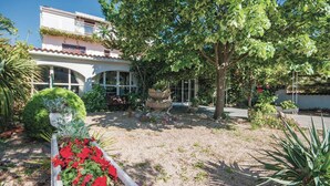 Un jardin où l’on trouve une variété de plantes et un arbre.